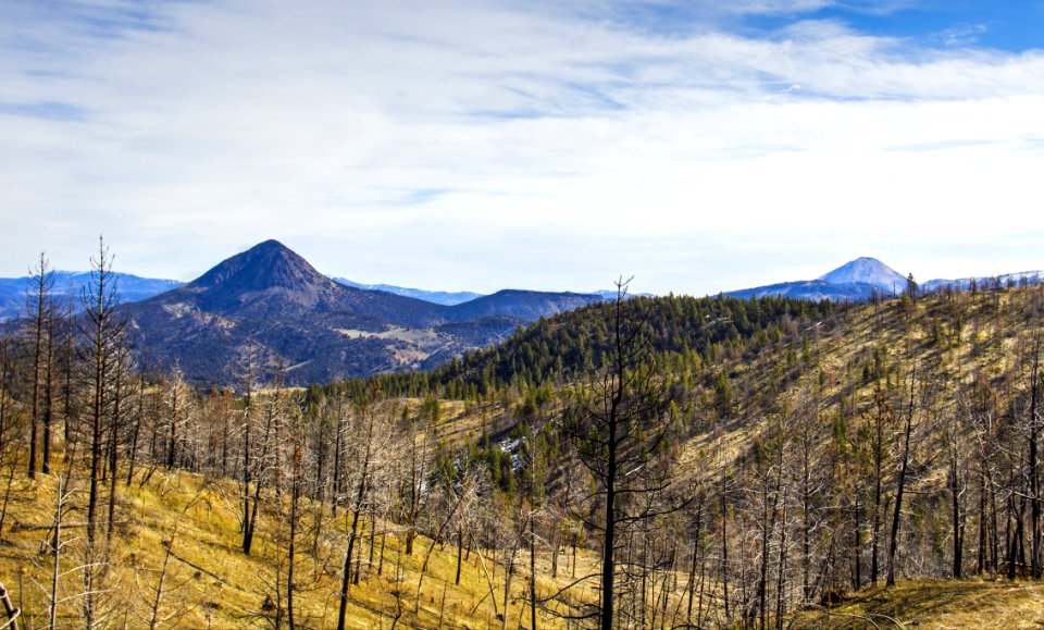 Black Butte And White Butte, Oregon