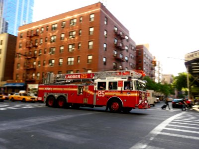 Ladder 25