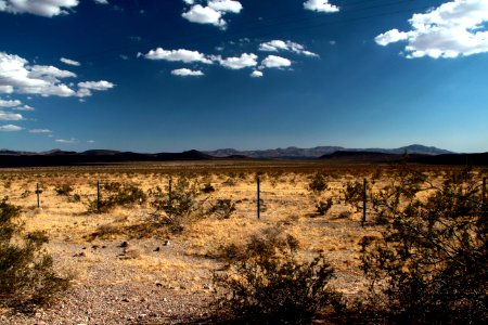  EXploration | West Coast USA  CityNature