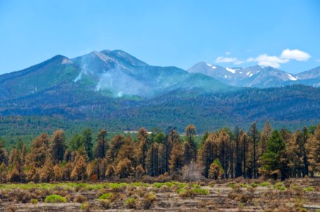 Schultz Fire