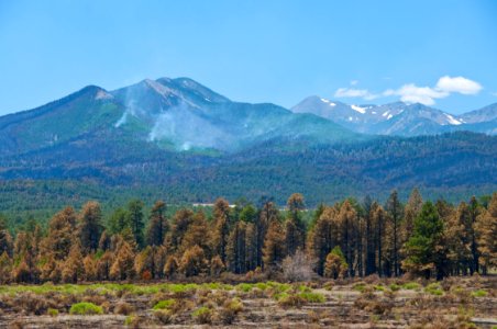 Schultz Fire photo