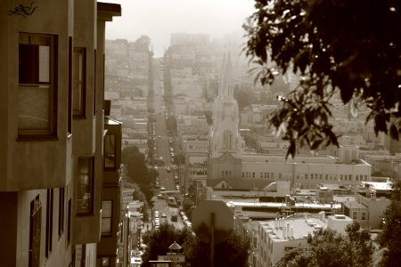  EXploration | West Coast USA  CityNature