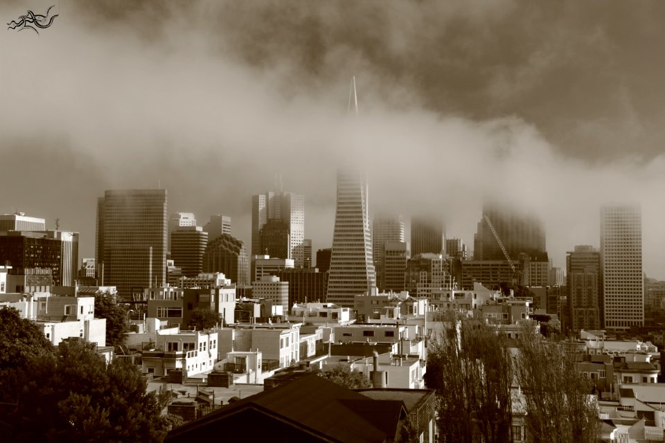  EXploration | West Coast USA  CityNature