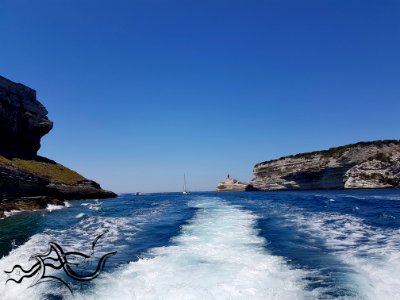  EXploration | Corsica  Corse (South) | NatureCity