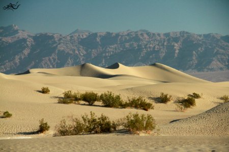  EXploration | West Coast USA  CityNature