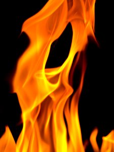 Fire Study