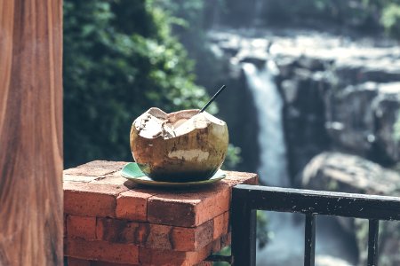 Young Fresh Organic Coconut On A Waterfall Background In The Jungle Of Bali Island