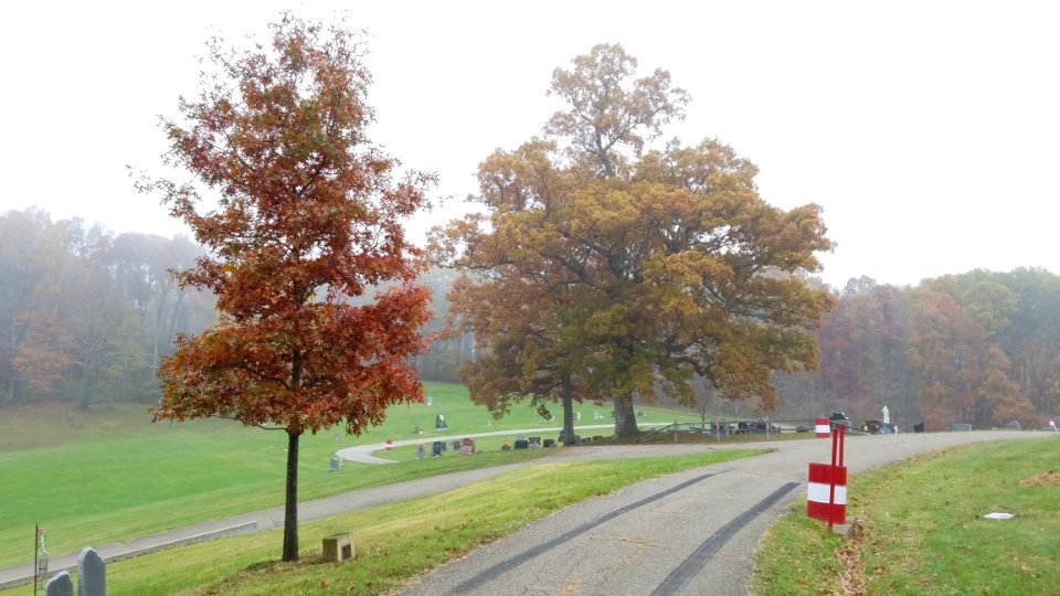 Oak Grove Cemetery