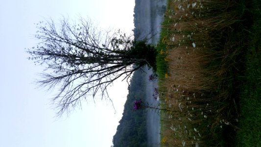 Chestnut Ridge Metro Park