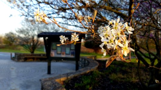 Pickerington Ponds Metro Park