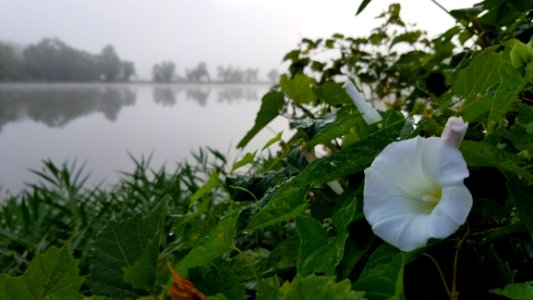 Three Creeks Metro Park