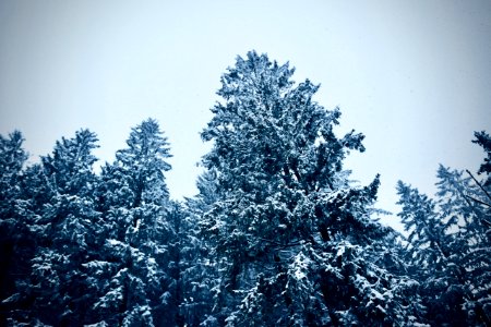 Sunshinewonderland
