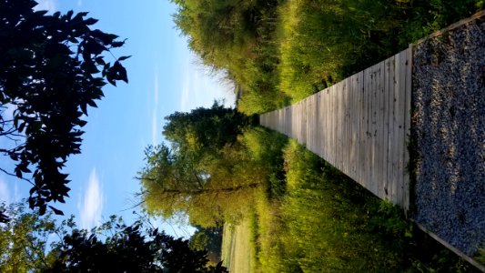 Rockbridge State Nature Preserve