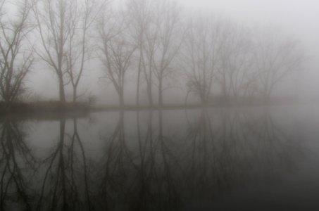 The Fog photo