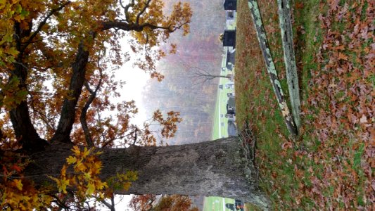 Oak Grove Cemetery