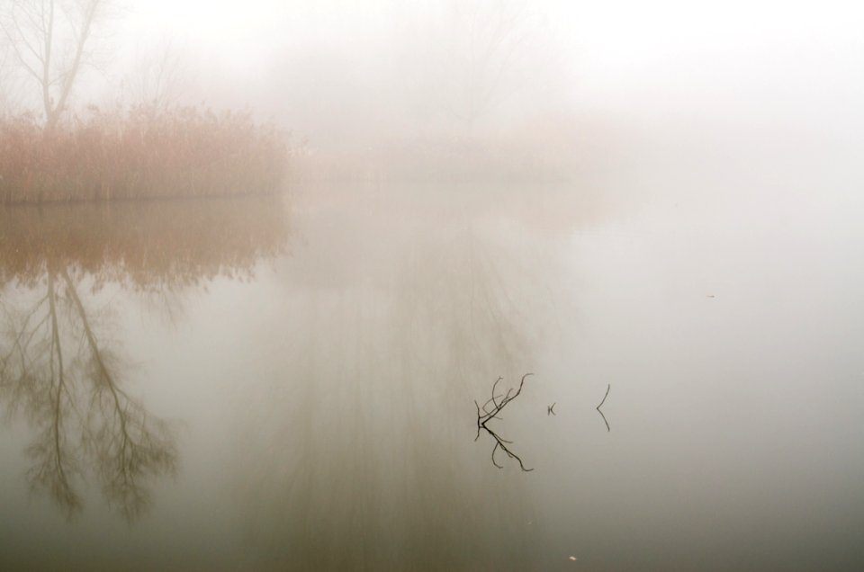 Illuminated Fog In The Morning Sun (2)