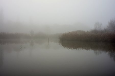 More Fog photo