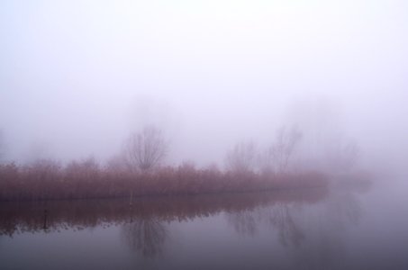 Illuminated Fog In The Morning Sun photo