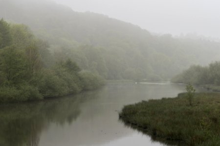 Foggy Morning