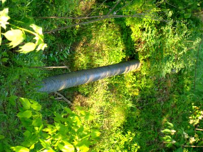 Aqueduct Park