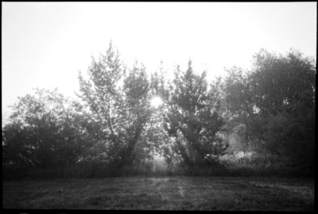 I Was Yearning For These Misty Mornings