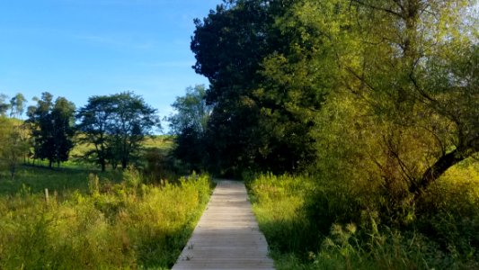 Rockbridge State Nature Preserve