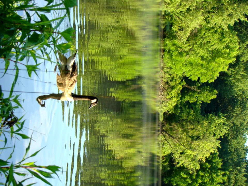 Three Creeks Metro Park
