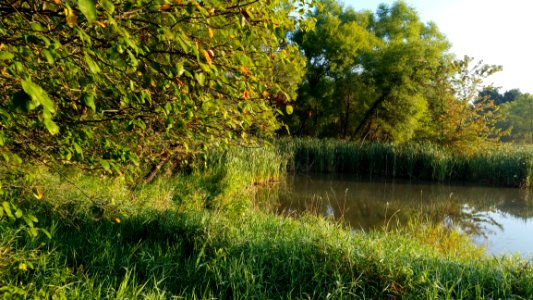 Pickerington Ponds Metro Park