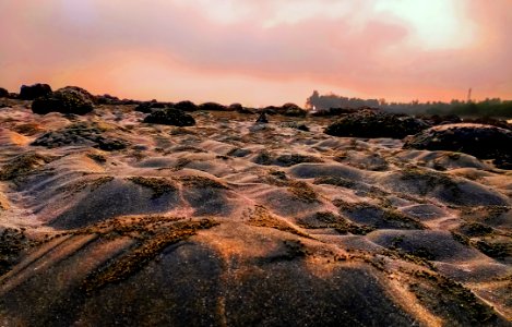 Crab Holes On Sea Beach Of Saint Martins Island At Sunrise