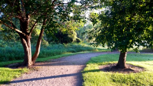 Pickerington Ponds Metro Park