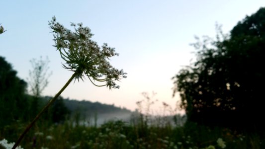 Chestnut Ridge Metro Park