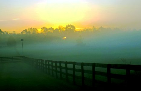 Morning Pasture photo