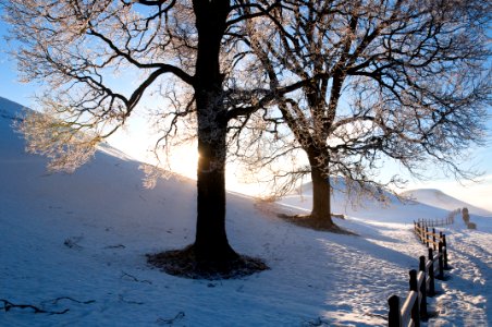 Burial Mounds In Old Uppsala photo