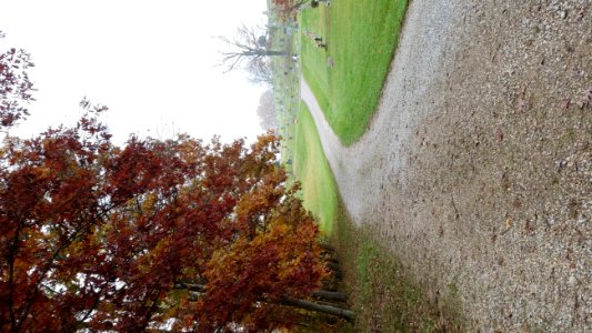 Oak Grove Cemetery