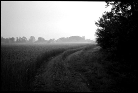 I Was Yearning For These Misty Mornings