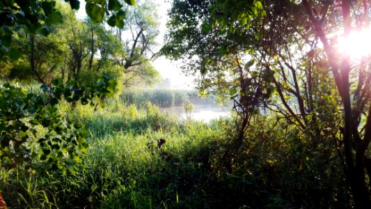 Pickerington Ponds Metro Park
