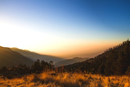 Rays Of Gold