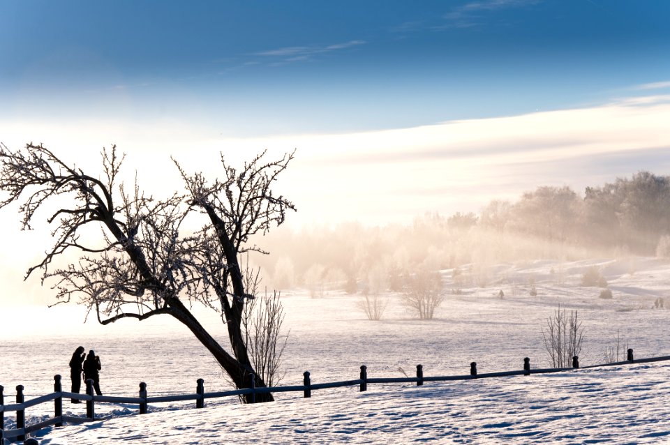Cold Winter Morning In Old Uppsala