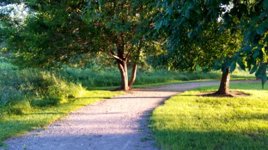 Pickerington Ponds Metro Park