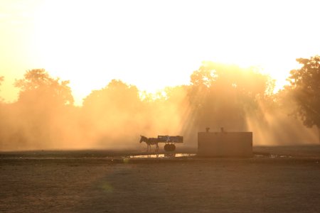 Waking Up Fetchin Water