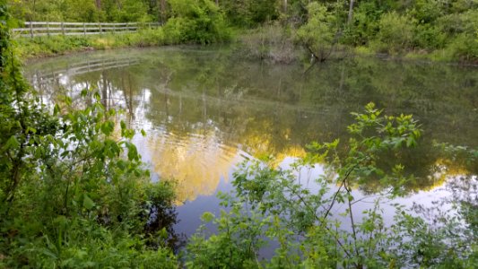 Oldtown Creek Preserve