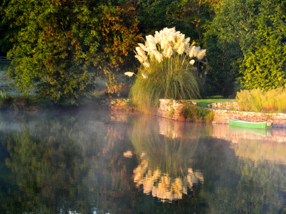 Reflection, Nature, Natural Landscape, Water
