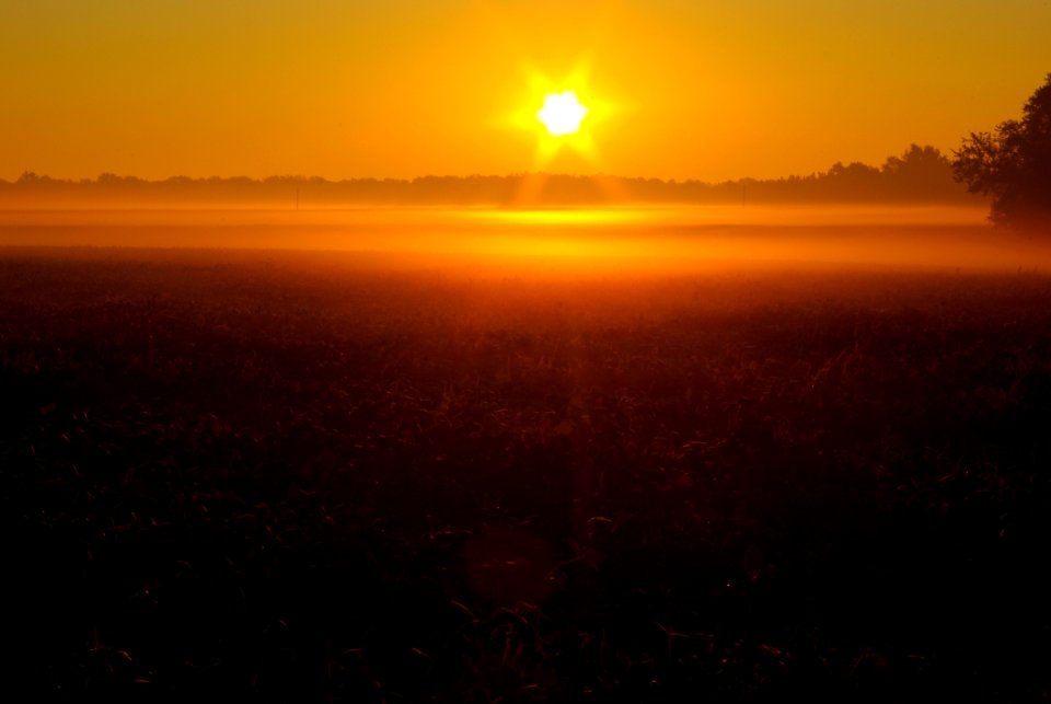 Sunrise From KOA North Of Springfield, Illinois  September 27, 2008