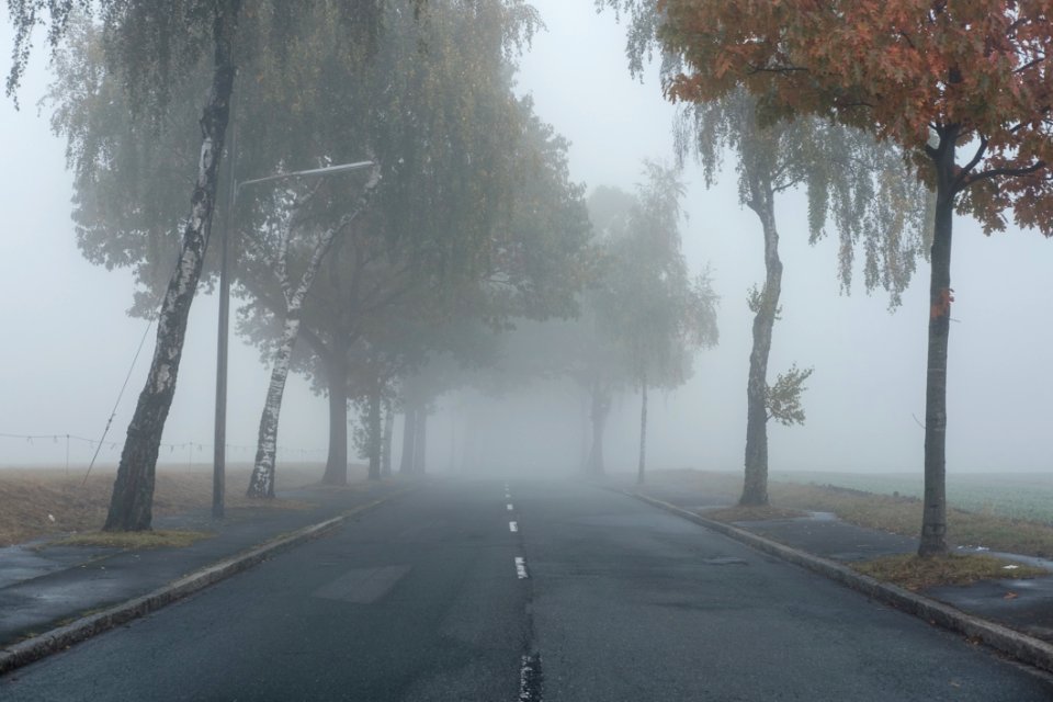 Fog, Mist, Atmospheric Phenomenon, Haze