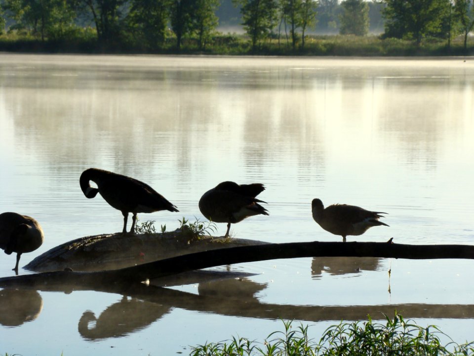 Three Creeks Metro Park