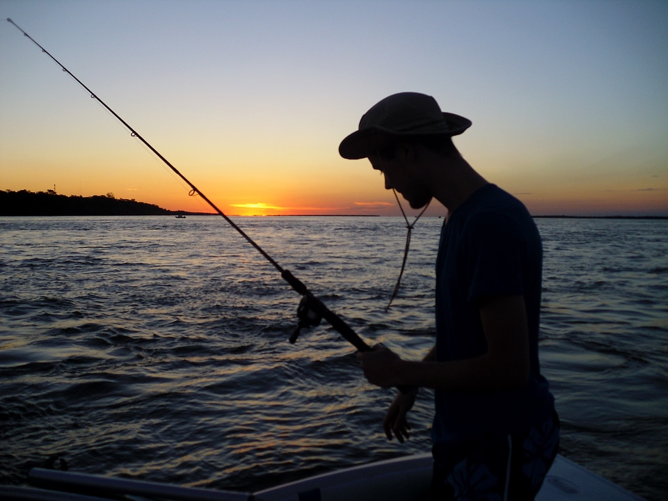 Fish fishing twilight