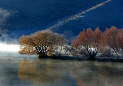 Frosty Morning TwizelNZ