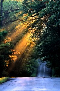 Light Up The Morning