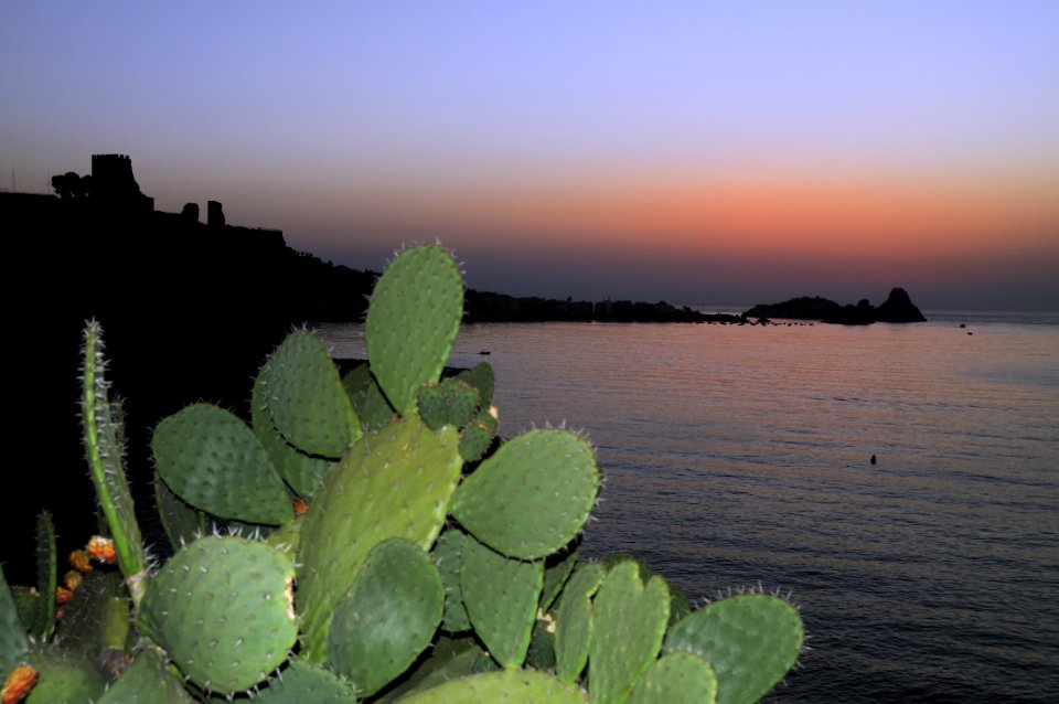 Aci Castello Sicily Italy  Creative Commons By Gnuckx