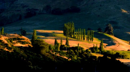 Frankton SunriseOtago NZ